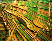 航拍無(wú)人機(jī)飛入尋常百姓家